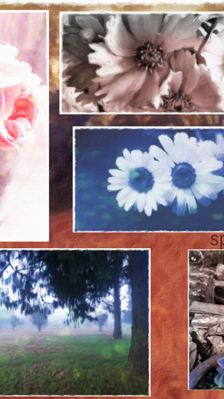 Spring is in the Air