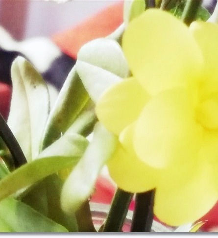 No Judgements & No Haters