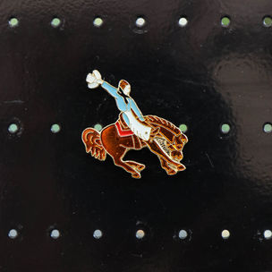 Pins western country
