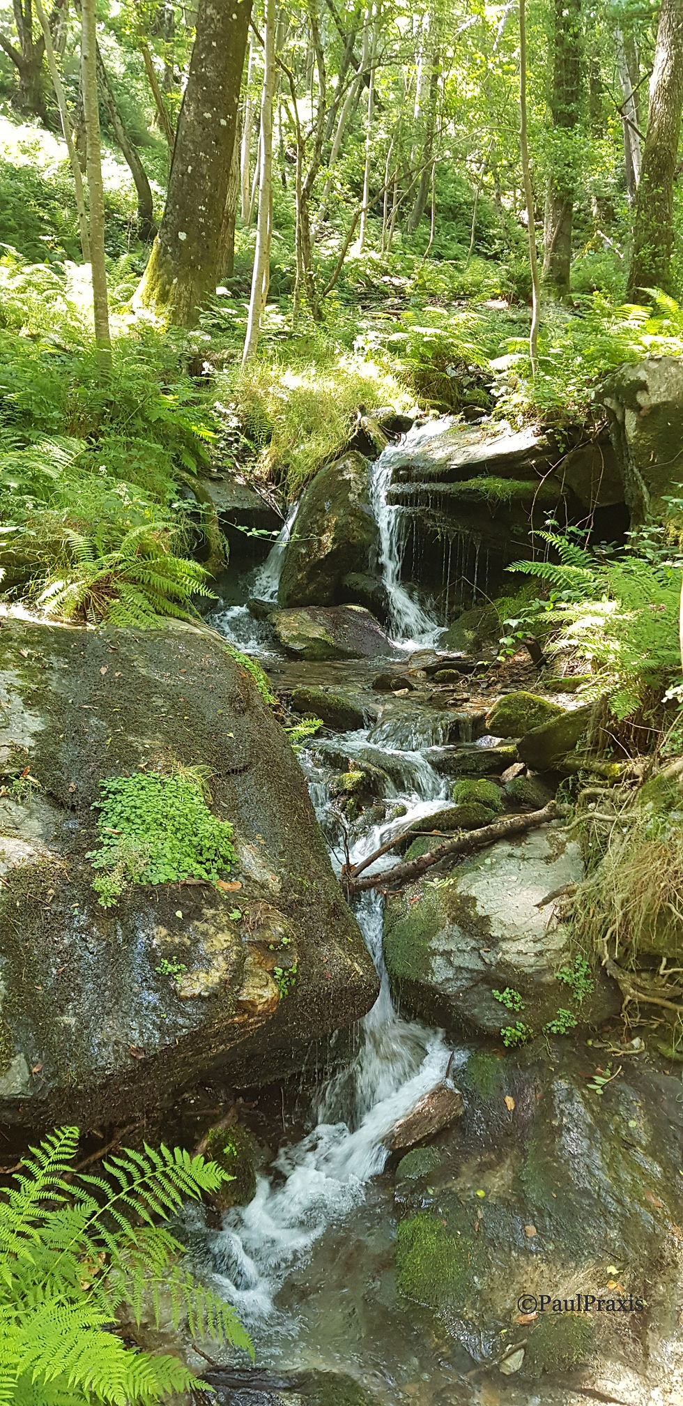 Mon témoignage / Poèmes & Chants (cliquez sur l'image)