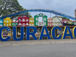 Un nouveau roman sous forme de thriller en projet !