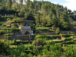 Découvrez mon roman en images !