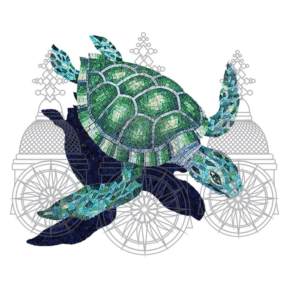 TARTARUGA DE PENTE VERDE E AZUL