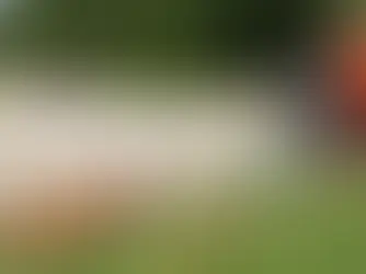 Fiber Internet Barry County