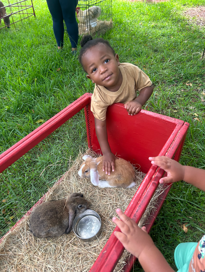 kid pampering a rabbit 
