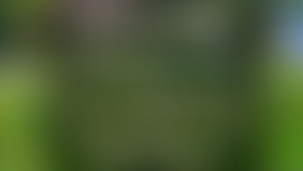 Playa Venao: Panama's New Epicenter of Investment and Well-Being