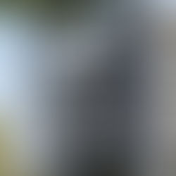 Zen Brisas Gardens: Where comfort, location, and nature come together