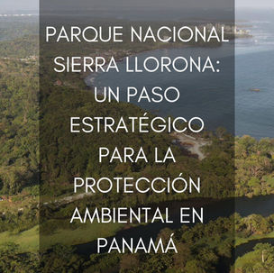 Parque Nacional Sierra Llorona: Un Paso Estratégico para la Protección Ambiental en Panamá