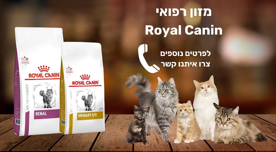 ללא שם (600 x 400 פיקסל) (600 x 300 פיקסל) (300 x 600 פיקסל) (300 x 200 פיקסל) (2560 x 144