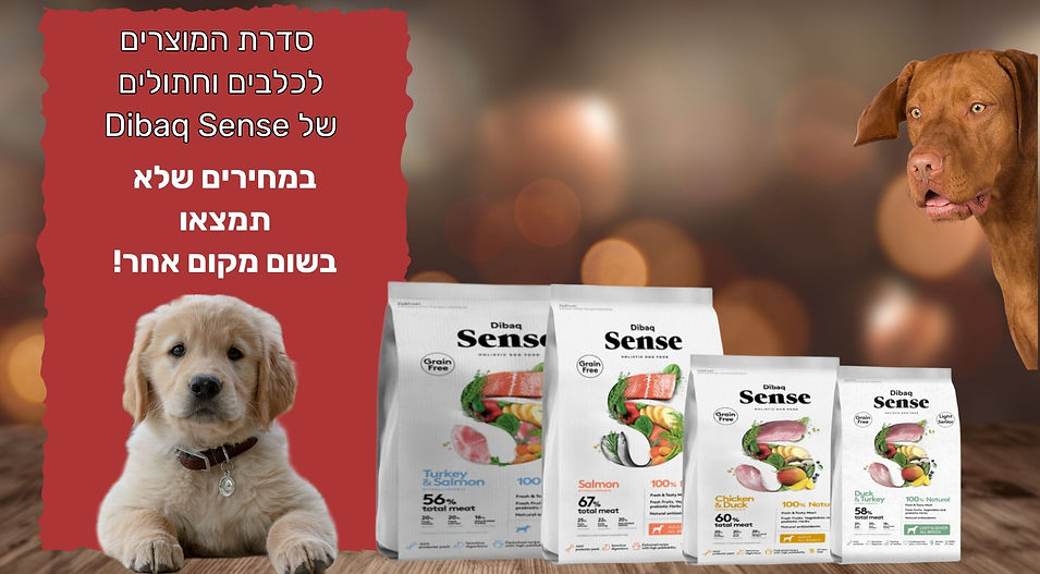 ללא שם (600 x 400 פיקסל) (600 x 300 פיקסל) (300 x 600 פיקסל) (300 x 200 פיקסל) (2560 x 144