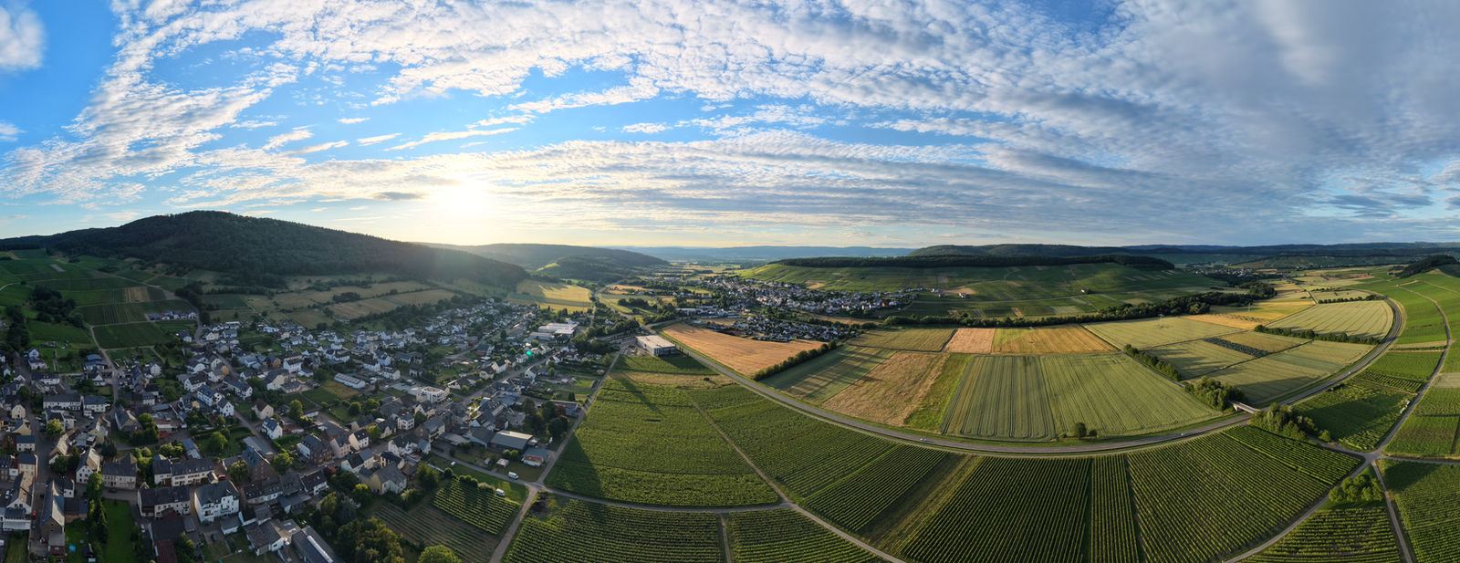 Osann-Monzel im Abendlicht, ringsum Weinberge