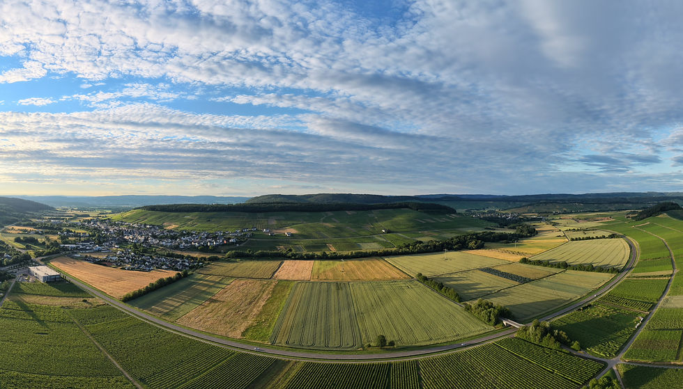 dji_fly_20260617_204254_0673_1781818756525_pano_edited.jpg
