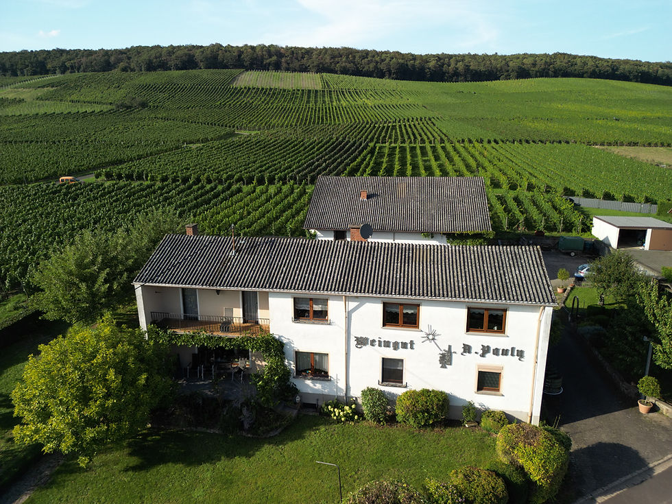 DJI_0386.JPG