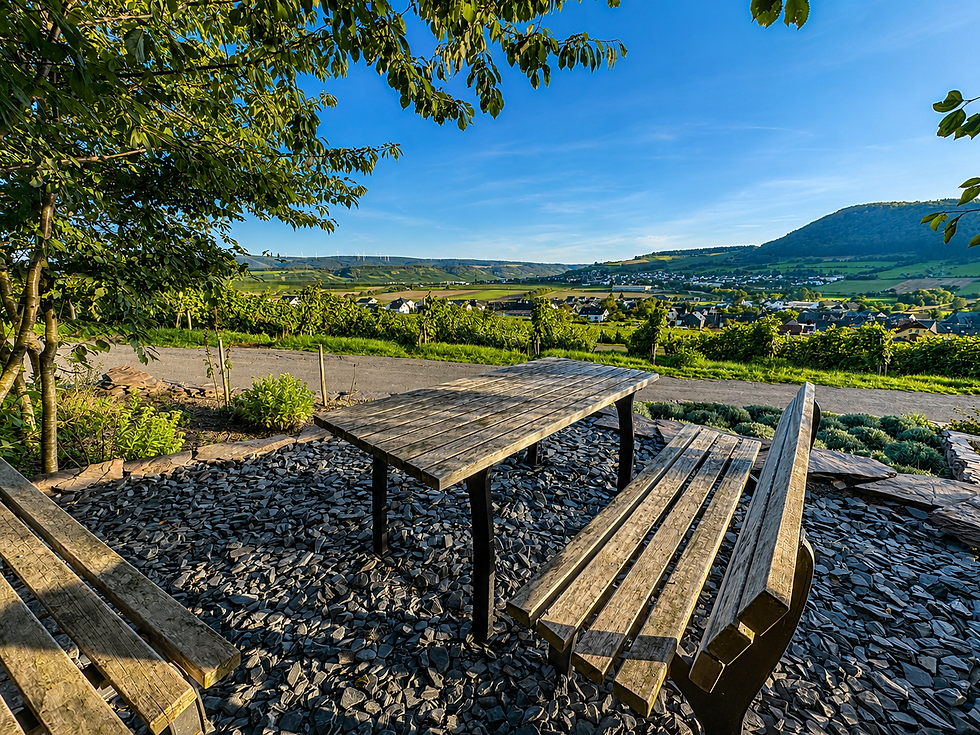 Osann-Monzel von Oben und Teile von der Mosel und Kesten