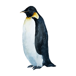 Watercolor Penguin 1