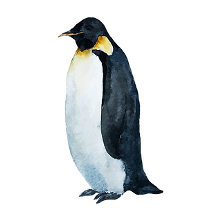 Watercolor Penguin 1