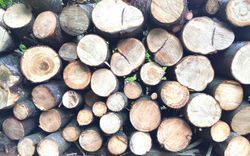 File 2017-02-12, 11 58 08 AM