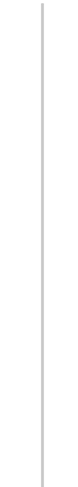 gray line 1.png