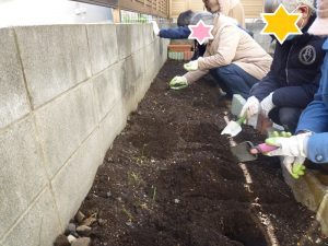 精神科デイケア サークル活動【園芸】種まき