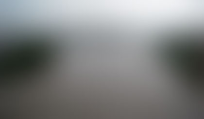 感染委員会から