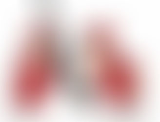 看護部だよりより　　新年の抱負