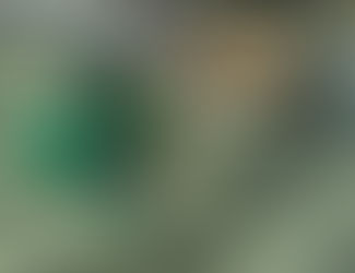 男性慢性期病棟から バレンタイン