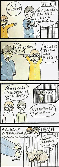 強い子になったからお留守番も寂しくないよ!~防災にも備えて~