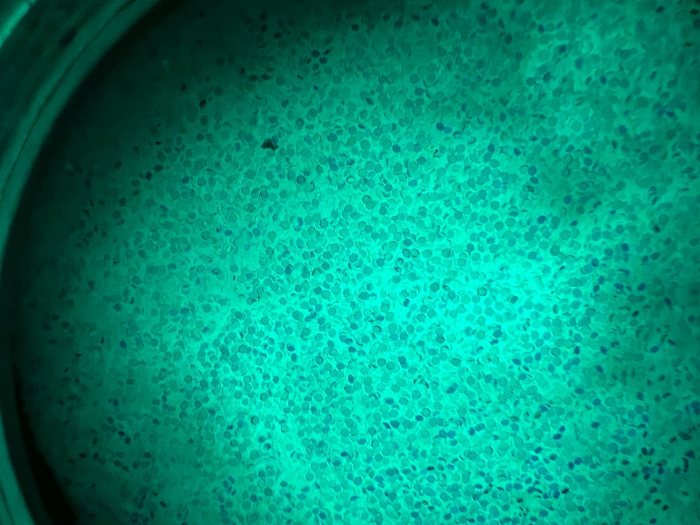 Thumbnail: It's Mint-Glow Glitter