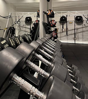 Personal Trainer Gym Fitness Hantelbereich