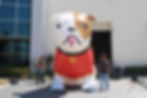 Giant Inflatable English Bulldog