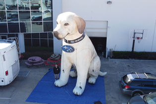 20ft Giant Custom Inflatable Labrador Subaru