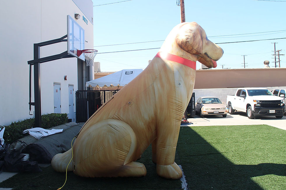 10 ft. Giant Inflatable Golden Retriever (side view)