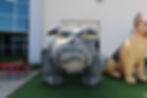 Large Inflatable Bulldog (front view)