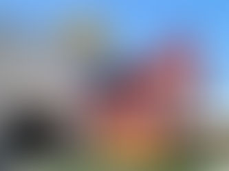 Giant 4th of July Inflatables