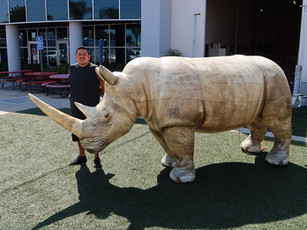 Rinoceronte Realistico Inflable