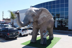 Realistic inflatable elephant