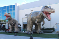 Giant Inflatables - Creatable inflatables