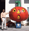minipump_66k.gif