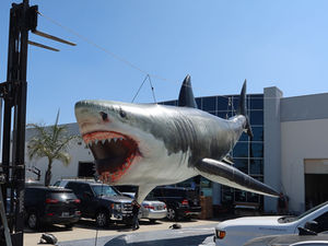 Giant Inflatable Sharks