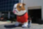 Giant Inflatable English Bulldog (side view)