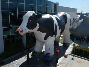 40 ft. Giant inflatable realistic cow