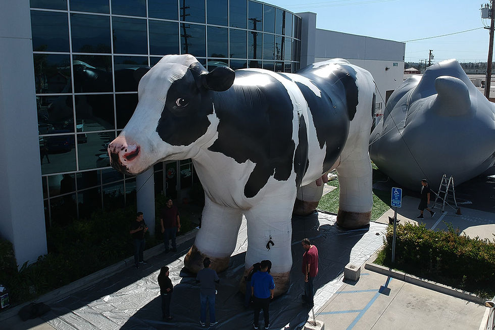 40 ft. Giant Inflatable Cow (front view)