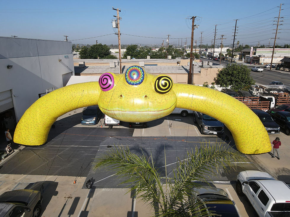 65 ft. Giant Inflatable Frog Head Arch