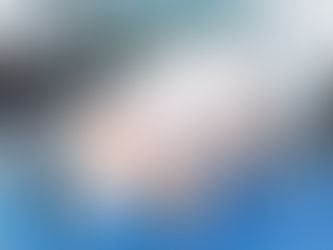 Giant Inflatable Pigs