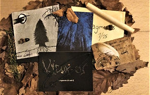 Fragments de nuit II