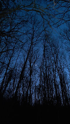 Nuit bleutée