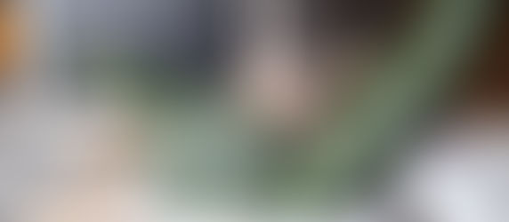 Weeksoep van 17 juli