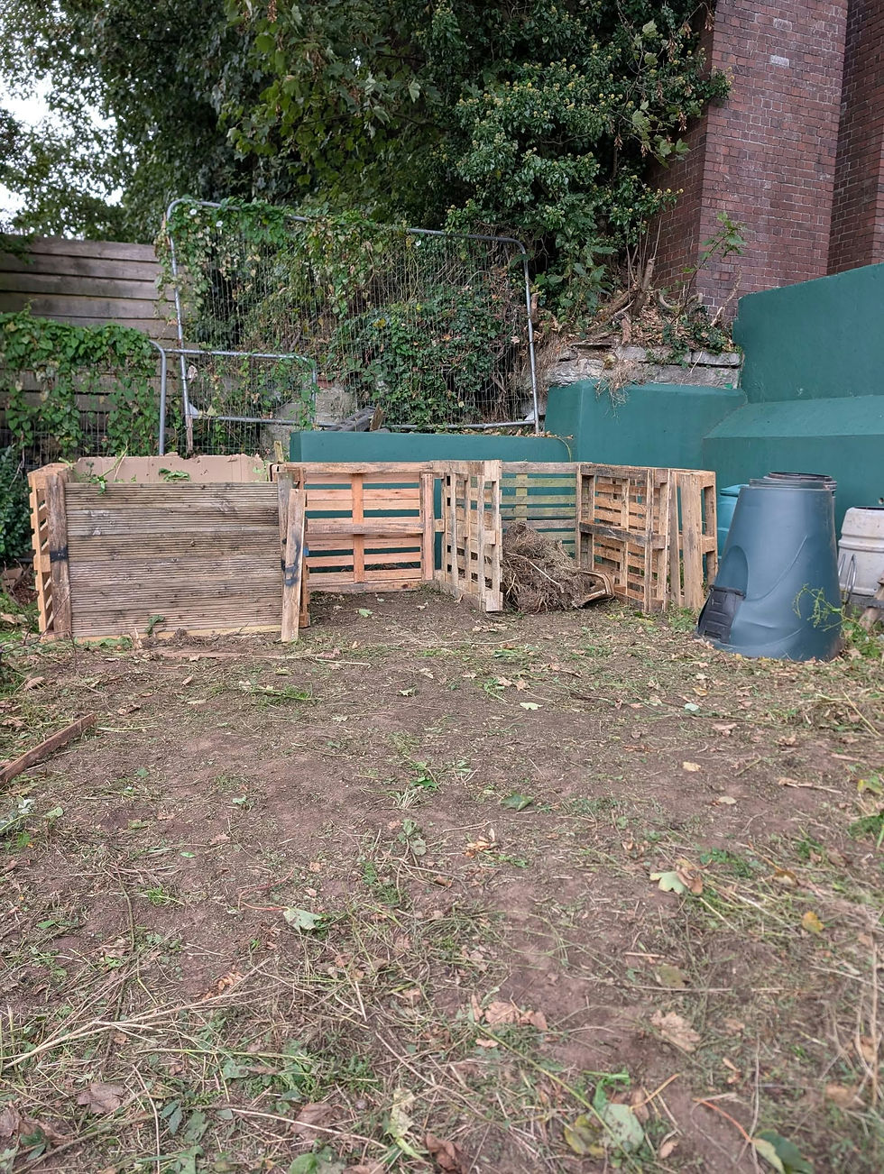 community volunteer day