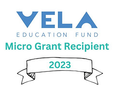 Having this on my website means that I was a Vela Micro Grant Recipient