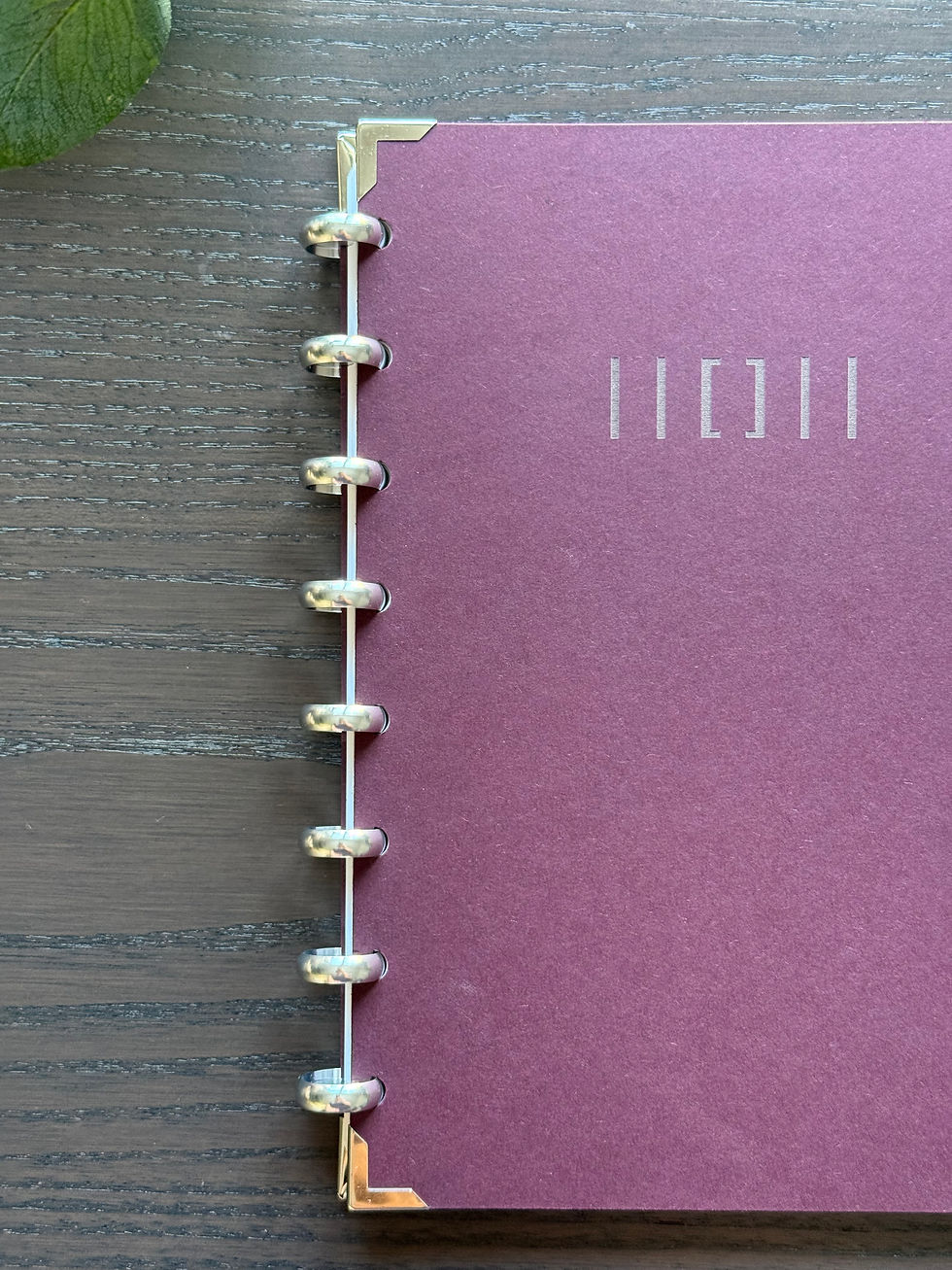 Thumbnail: FALANO BOOK
